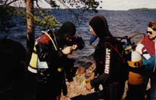 n. 1994